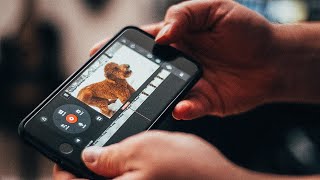 The Best Apps for Mobile Video Editing on iPhone & Android