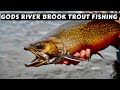 Gods River Brook Trout