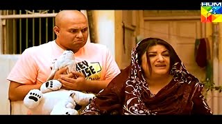 Mitthu Aur Aapa•[Episode4] Hina dilpazeer,Shabbir Jan,Nadia Hussain, Saba Hameed...