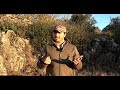 𝐎𝐏𝐓𝐈𝐎𝐍 𝐒𝐓𝐈𝐎𝐍. wild boar hunting with the new pixfra sirius pfi s435 all hunting