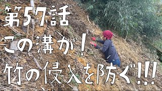 第57話　竹の根の侵入を防ぐ溝がついに完成！！！【CAT HOUSE DIY】