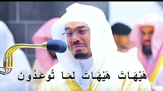 هيهات هيهات لما توعدون _ ياسر الدوسري - سورة المؤمنون ✨💙