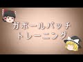 【逆視力検査】目が悪い人ほどよく見える！？正解してはいけない10枚の画像【ゆっくり科学】