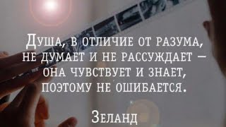 🔏Душа, в отличие от разума, не думает и не рассуждает…