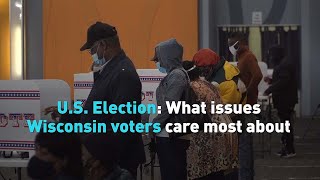 U.S. Election: What issues Wisconsin voters care most about