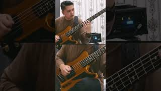 Polyphia - Ego Death feat. Steve Vai {Short Bass Cover} {Dingwall DRoc Custom V} Hybrid Picking Bass