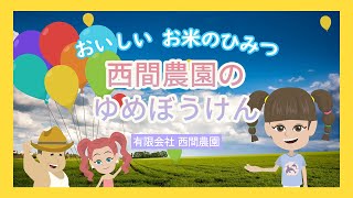 米１グランプリ入賞米！北海道比布町 西間農園の安心安全で美味しいお米🌾「おぼろづき」「ななつぼし」「ゆめぴりか」を紹介🍚