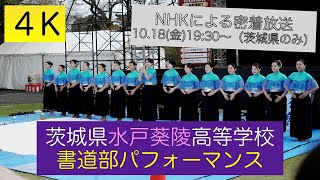 茨城県水戸葵陵高等学校 書道部パフォーマンス in シン☆いばらきメシ総選挙2024（2024.10.14）