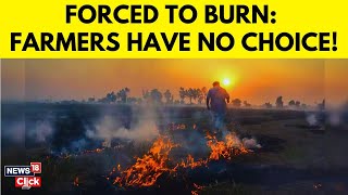 Stubble Burning | Farmers on Fire, Why They're POWERLESS Against The Flames |Air Pollution | N18G