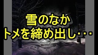 【DQN返し】雪が降る中、トメを閉め出した。 → トメ『息子の金で生きてるくせにずうずうしい！おまえが出てけ！」　姑、ヨメトメch