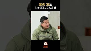 너 말고 니 강아지가 보고 싶다고; (feat. 전남친 토스트)