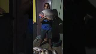 🤯🤯அப்பா இவ்வளவு பெரிய பாறை மீன் கட்டலா மீனா⁉️‼️Dad such a big rock fishcatala meena#shorts #fishing