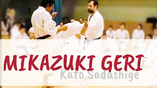 Mikazuki geri training. Kato Sadashige.