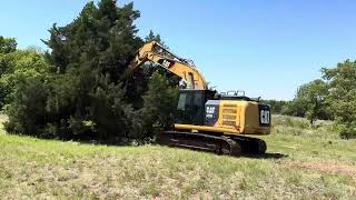 Cat 320 E L Excavator Removing Big Cedar Tree