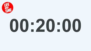 20 Minute Timer (Clean Alarm)