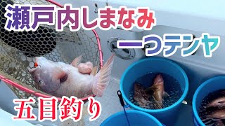 【一つテンヤ】まさかあのYouTuberに出会えるとは…