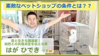 素敵なペットショップの条件とは　鳥と生きる講演家 はがひでき