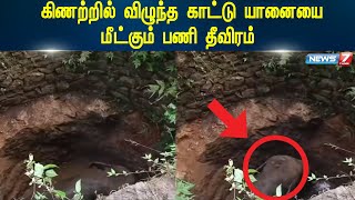 கிணற்றில் விழுந்த காட்டு யானையை மீட்கும் பணி தீவிரம் | News 7 Tamil