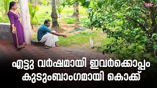 എട്ടു വർഷമായി ഒരു കൊക്കിനെ കുടുംബാംഗമാക്കി രവിയും ഭാര്യയും |Ravi and his wife Nisha