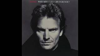 Sting Why should I cry for you ( Extended Instrumental)