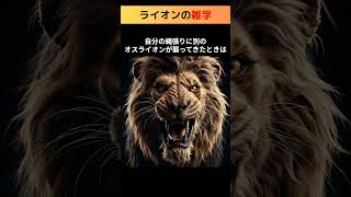 天国と地獄！ライオンの雑学🦁