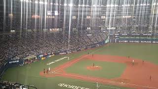 大阪桐蔭吹奏楽部✕オリックス応援団コラボ　タオル　#オリックス #大阪桐蔭 #コラボ #タオル #チャンステーマ