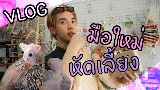 [VLOG] มือใหม่หัดเลี้ยงนก ไปจตุจักรซื้อนก!! ใช่ นก!!! | Zellfie