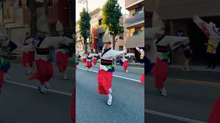 江戸っ子連！『第1回 高一中央通り商店会阿波踊り』 #shorts #japan #japantravel #festival #祭り #阿波踊り