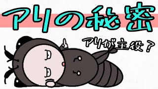 【アニメ】アリ（蟻）の秘密を教えてくれる？