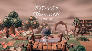 NATURAL \u0026 WHIMSICAL ISLAND TOUR