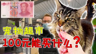 Spend 100 Yuan to buy some New Year presents for Main Coon Cat Maoi