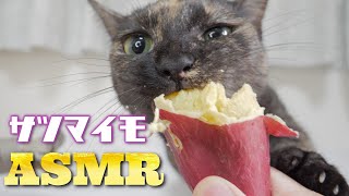 🐈【ASMR】Cat Eating Sweet Potato🍠🎧