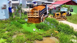 Start New PERFECT PROJECT Delete POND landFILL DEEp weTER By 5-Ton TRUCK -BULLDOZER Push Stone Flood