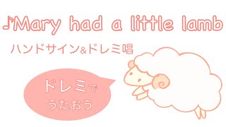 【うた】Mary had a little lamb