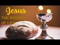 Jesus, the Bread of Life [11th August 2024]