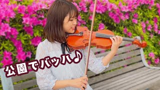 公園のベンチでバッハ🎻（J.S.Bach/Partita for Solo Violin No.3 \