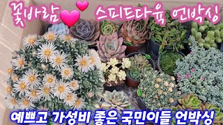 예쁘고 가격착한 국민이들 언박싱💕 스피드다육 010-5248-5955 전국택배가능 유료광고포함