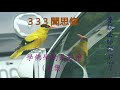 2018103 333聞思修 學佛學的是什麼（上集）