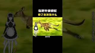 在野外被蟒蛇吞了会发生什么？#科普 #知识 #冷知识