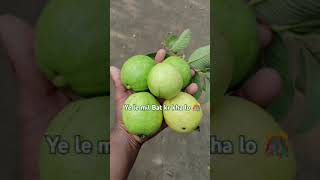 Best Fruit for Diabetes patients || Healthy Lifestyle #eat #fruit #gauva #video #healthy #tips #yt