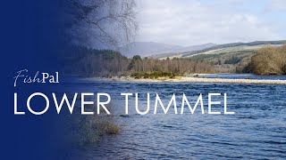 Lower Tummel: Salmon Fishing on Tributary of the River Tay