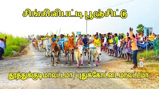 04.01.23 சிங்கிலிபட்டி பூஞ்சிட்டு  தூத்துக்குடி (மா)@Vetri-tamilan