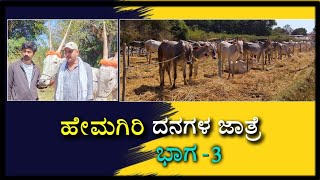 HEMAGIRI CATTLE FAIR, PART - 3 | ಹೇಮಗಿರಿ ದನಗಳ ಜಾತ್ರೆ, ಭಾಗ - 3 #hallikarstudbull #hallikarspirit