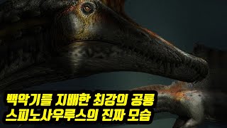 백악기를 지배한 최강의 공룡 스피노사우루스의 진짜 모습 해양 파충류는 물론 육상의 공룡들과 익룡까지 잡아먹은 무서운 공룡의 정체