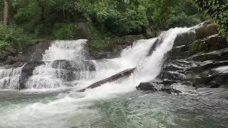 Kabbinale falls-mutlupadi