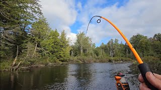 Fishing a stream fed by a lake