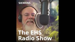 Anna Borg (Siemens P\u0026O EHS Head of Psychosocial Health \u0026 Wellbeing) Interview