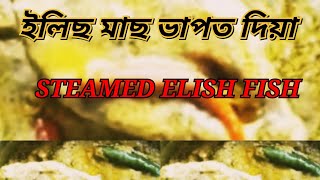 STEAMED ILISH🐟 FISH CURRY🤩। ইলিছ মাছ ভাপত দিয়া 🍛#food #youtubevideos #assamesefood #fishcurry