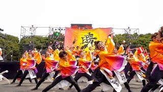 大阪芸術大学よさこい×結び　こいや祭り2017 2日目 太陽の広場メイン会場