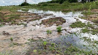 OLHA O MOMENTO EM QUE A ÁGUA CHEGOU NO RIO